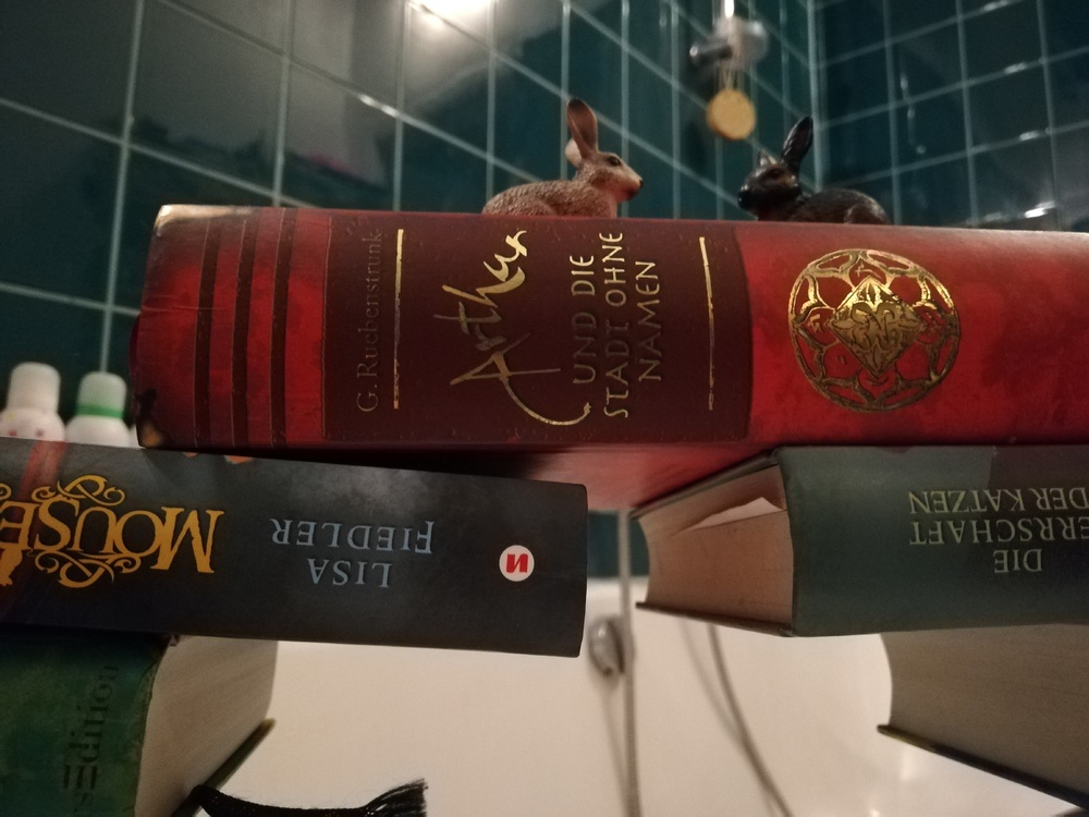 Bücherbrücke über Badewannenrand