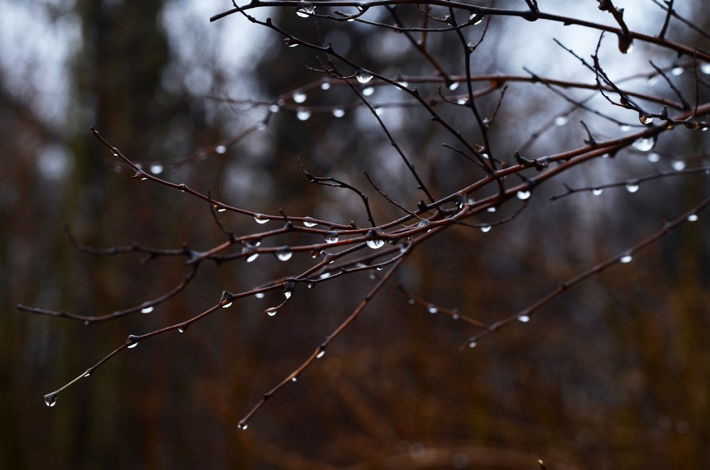 Drops