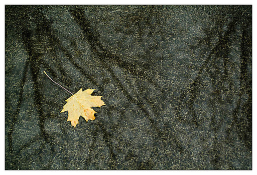 ein Blatt