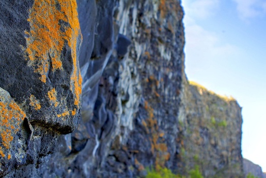 the face in the stone