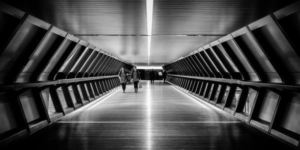 Pathway to the starship
