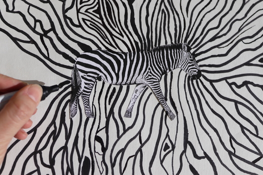 Zebra
