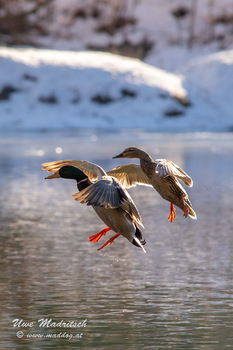 Formation Landing