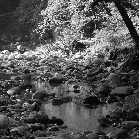 [favourite place at home]