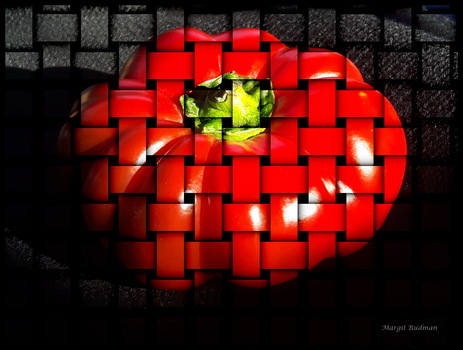 Rot