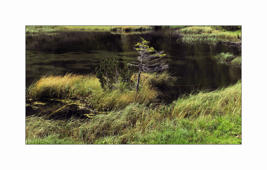 Am Josersee