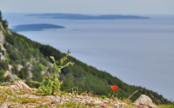 ...Lubenice / Cres / Kroatien