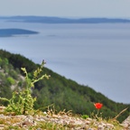 ...Lubenice / Cres / Kroatien