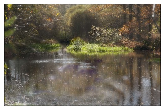 Herbst