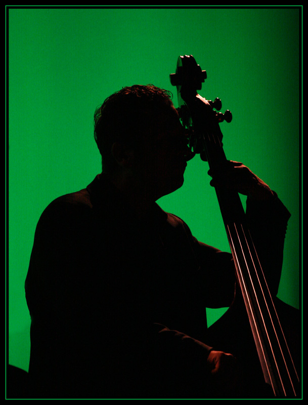 Der Bassist