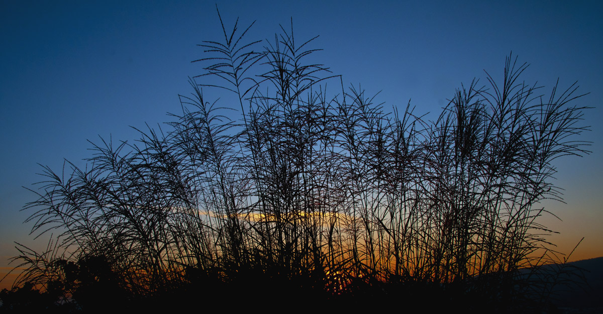 Unlike sunset