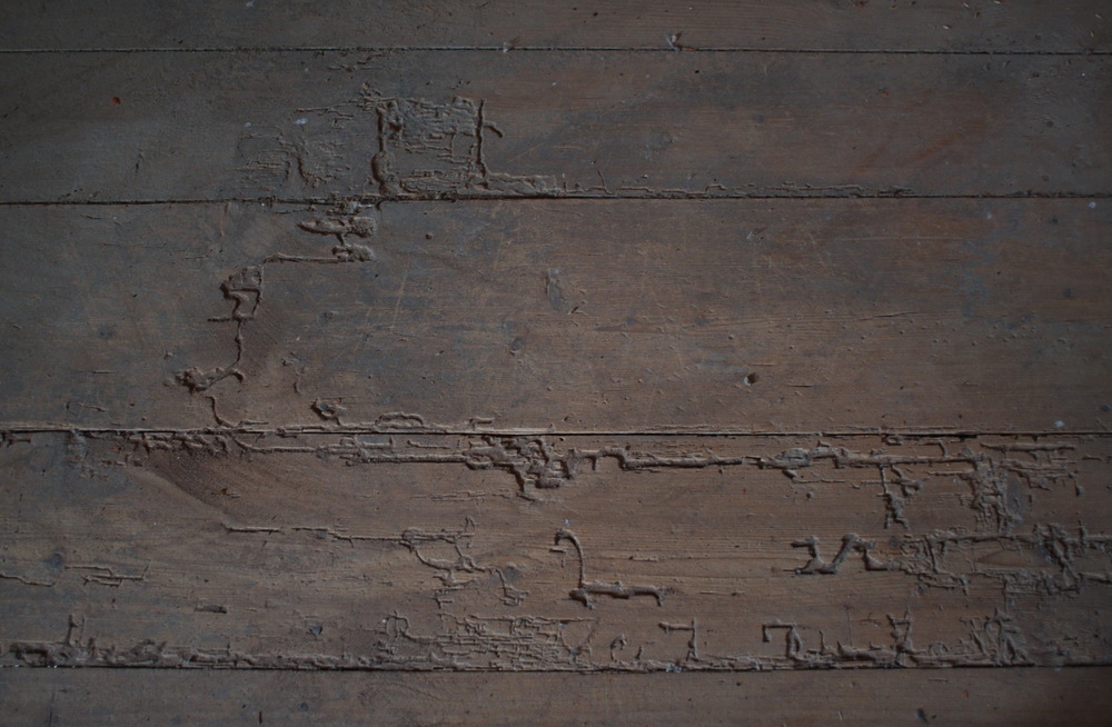 FritzMühle 5   Hieroglyphen