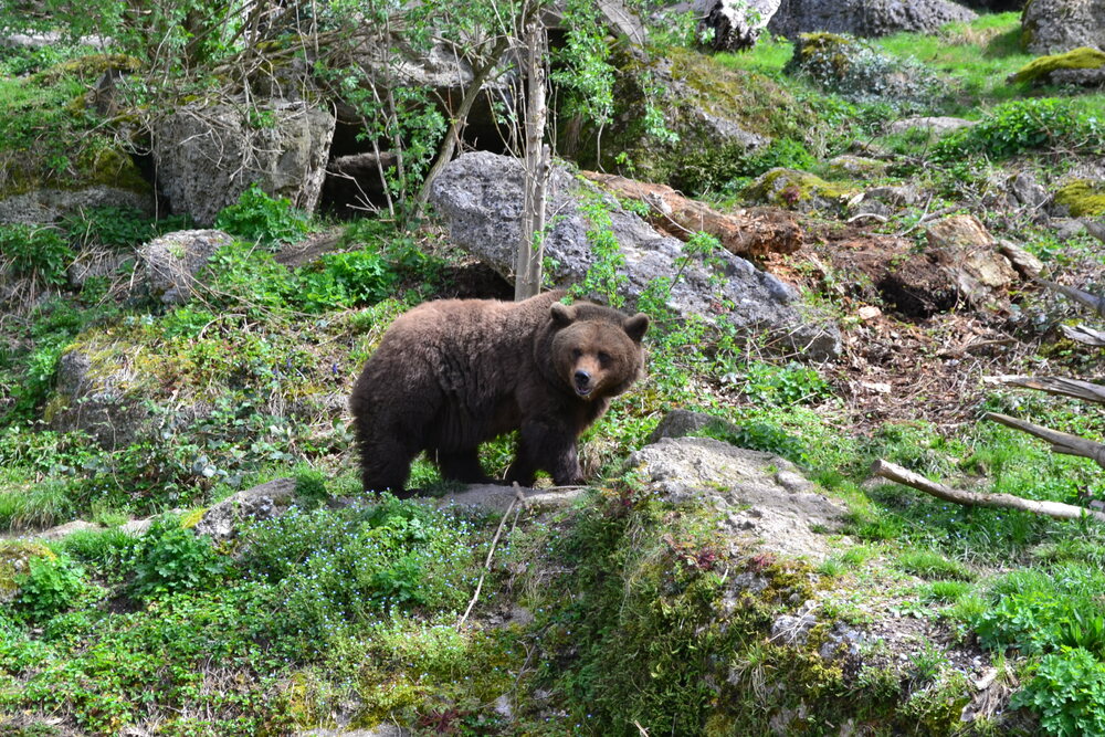 Tierpark Hellbrunn