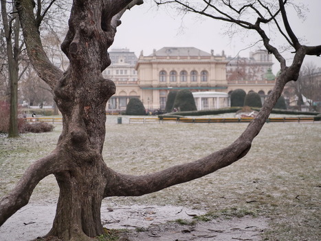 Im Stadtpark