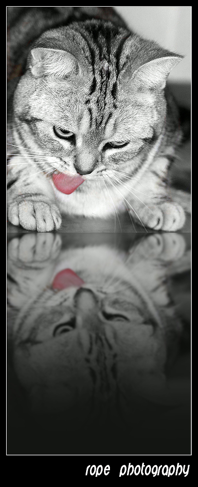 ;-)