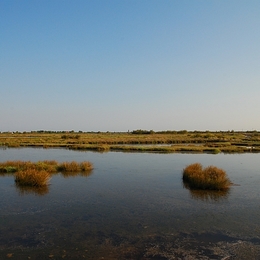 Lagune Venedig