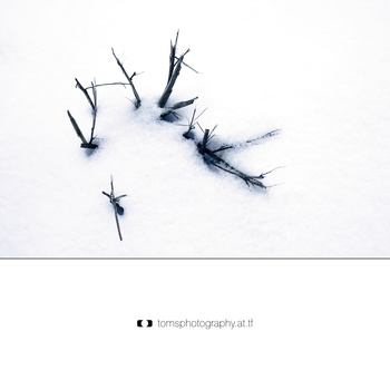 winter.reload.3.