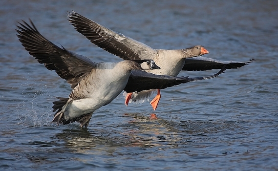 Abflug