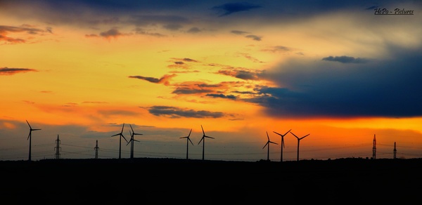 Windräder im Abendrot