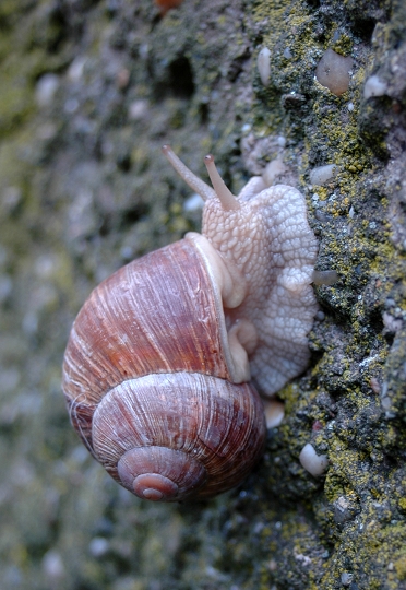 auf Wanderschaft