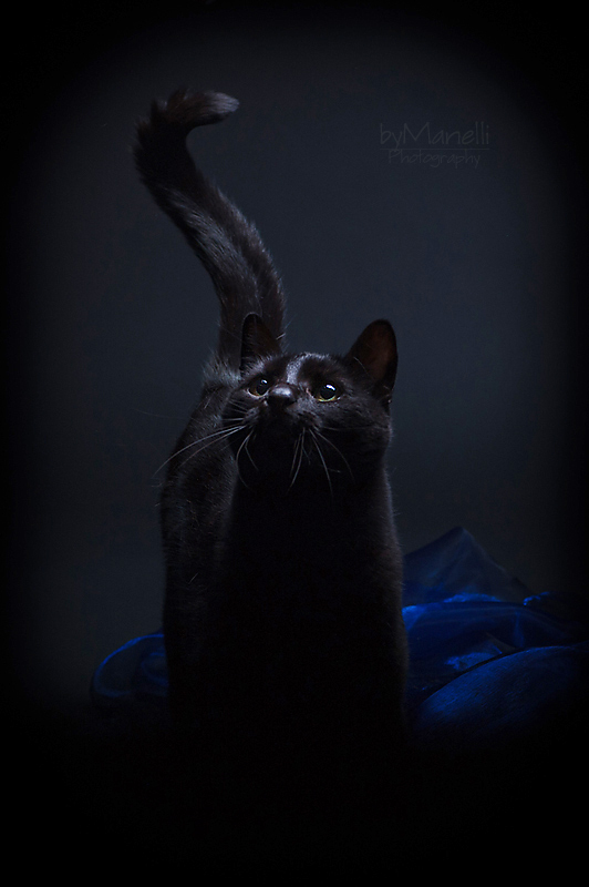 Mein liebstes Model!