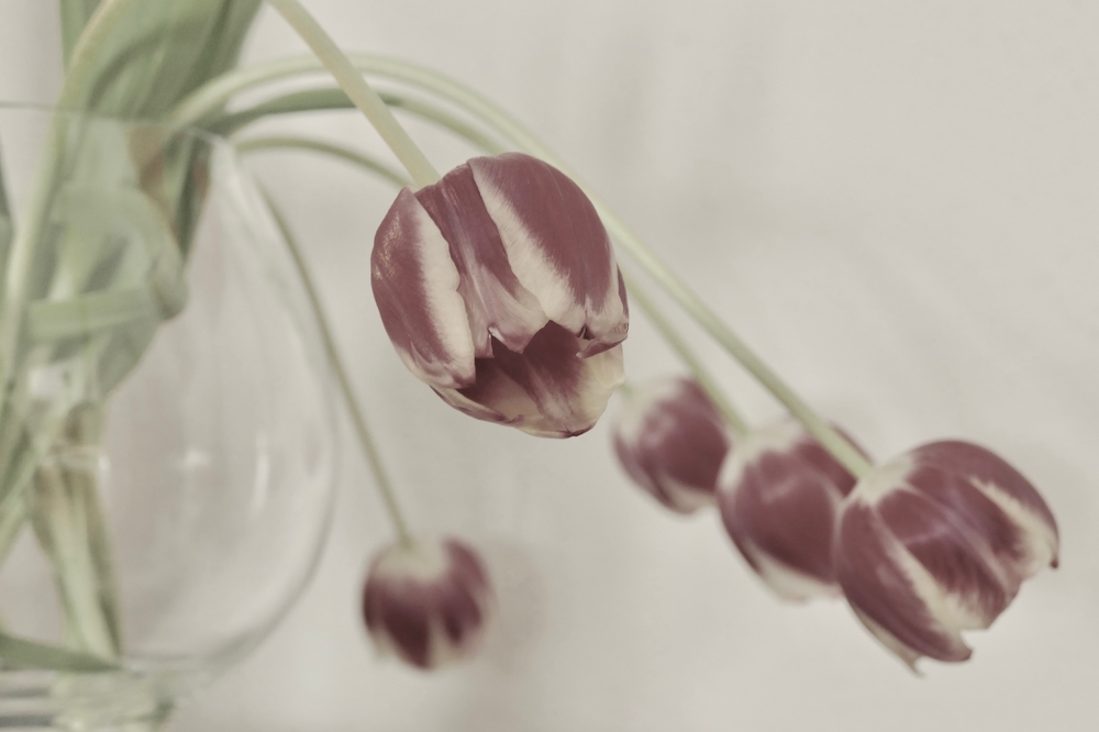 Alles hat ein Ende...