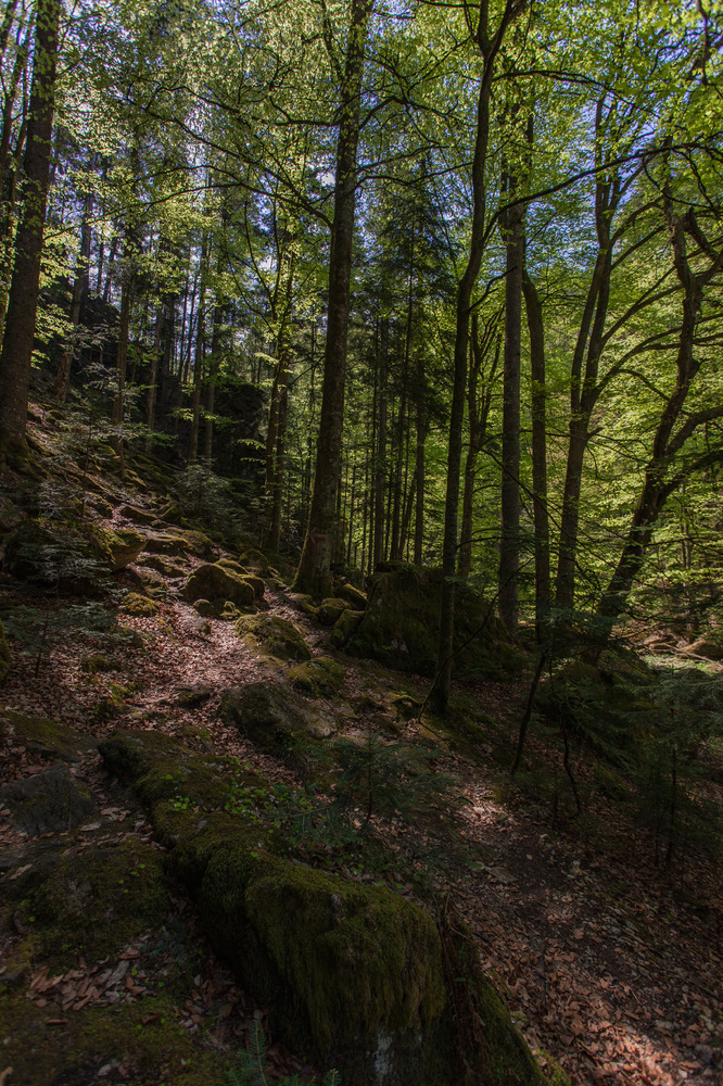 Wandern in der Raabklamm