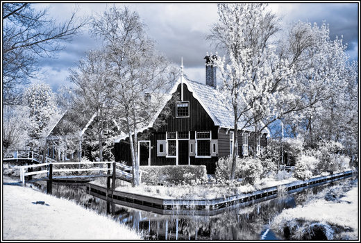 Zaanse Scans
