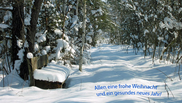 Frohe Weihnacht und ein gesundes neues Jahr!