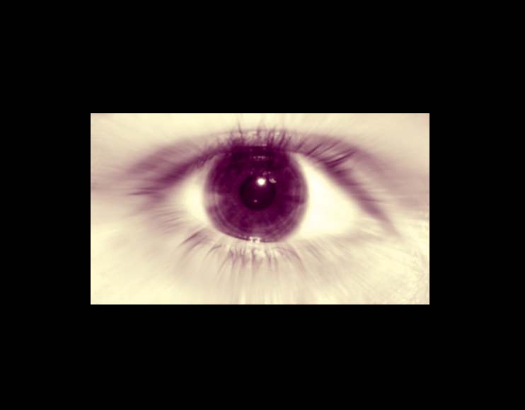 Auge