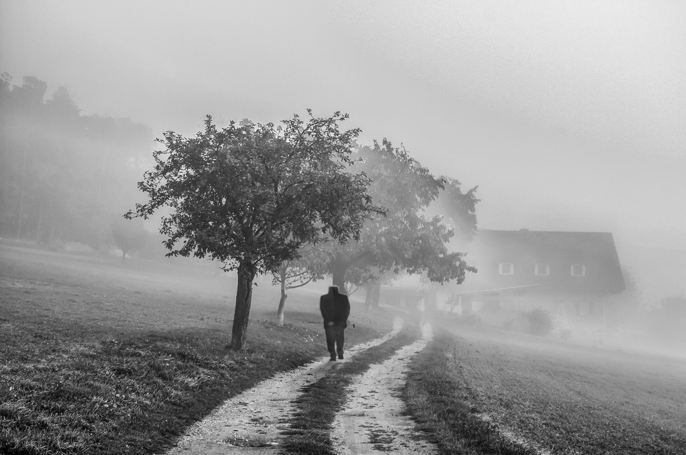 Morgennebel