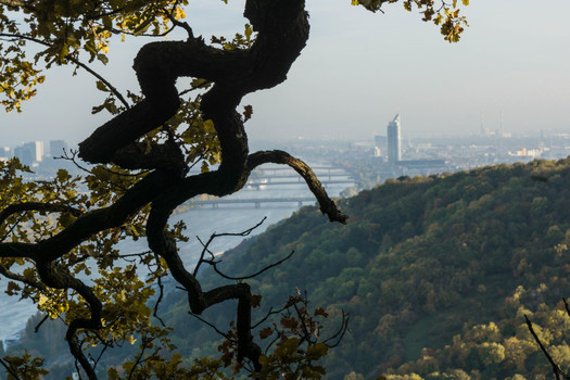 Am Nasenweg Richtung Donau