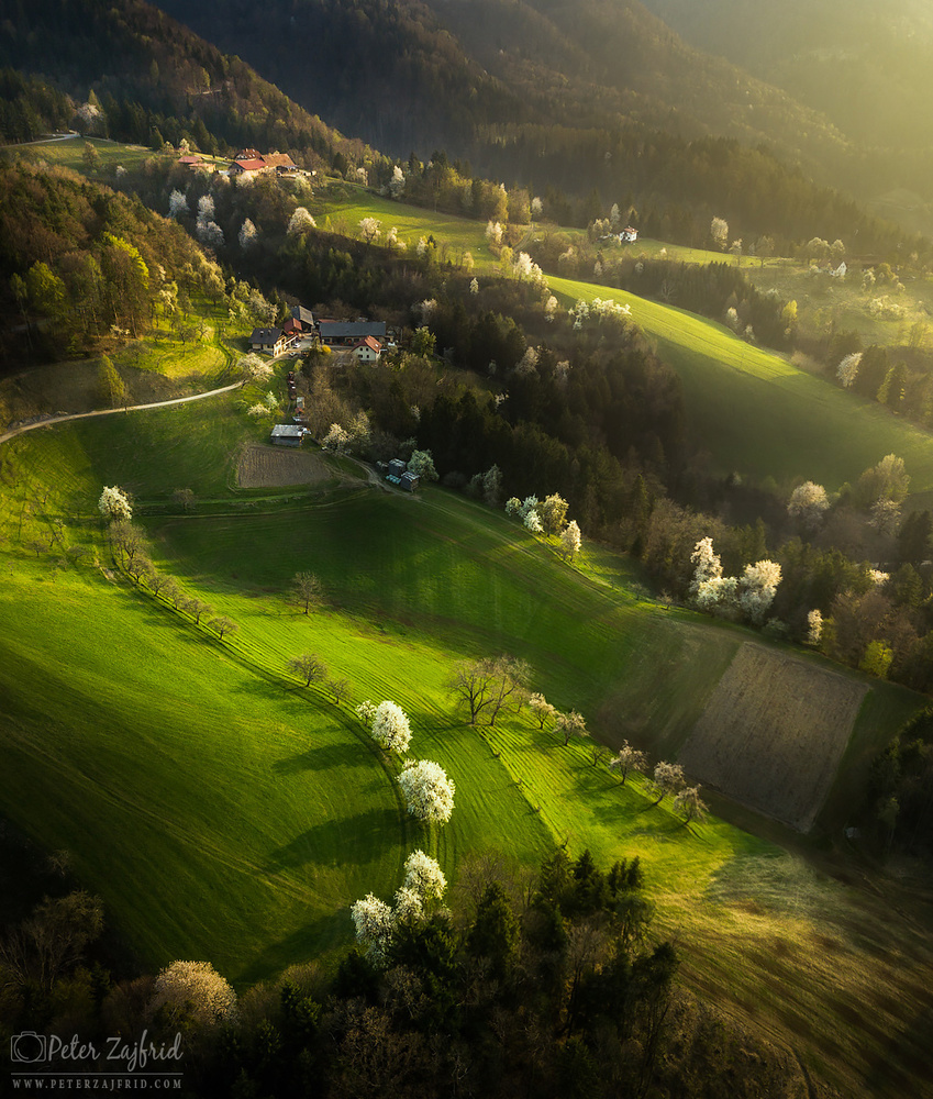 Spring colours