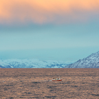 fahren auf dem goldenen Nordmeer