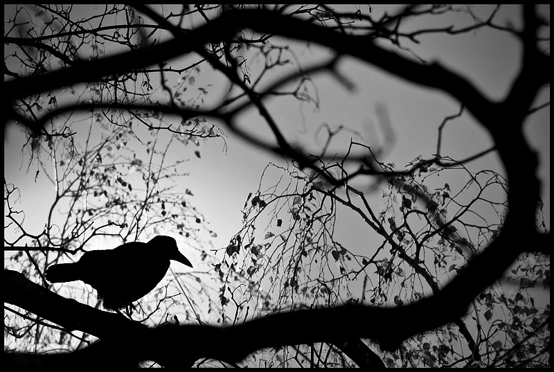 Schatten der Sonne.