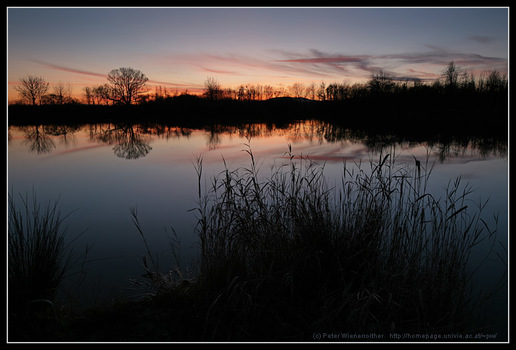 Sonnenuntergang am Teich