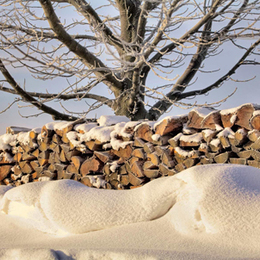 Winteridylle