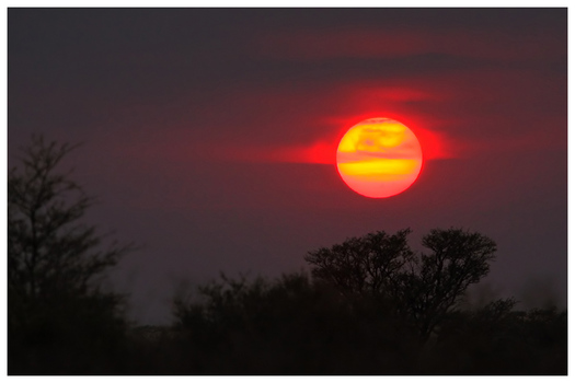 Kalahari sunset