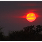 Kalahari sunset