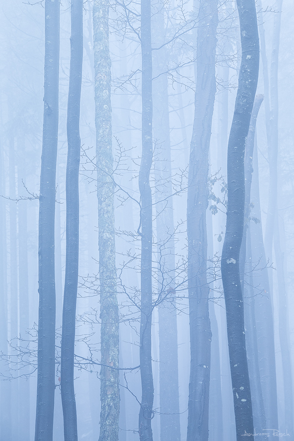 Triglav im Nebel