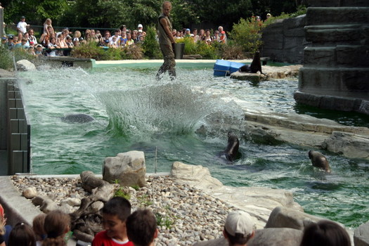 Big splash 3