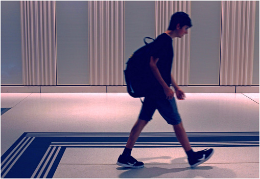 Der Student