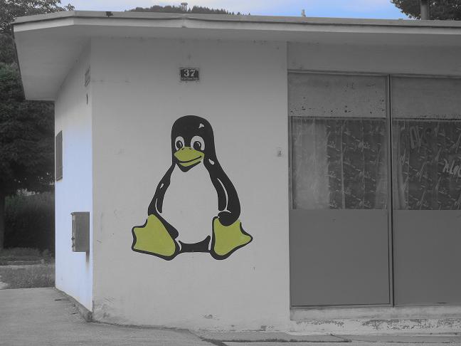 Mitten im dorf ein linux pinguin