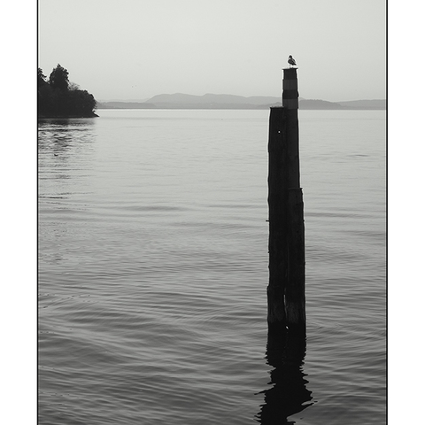Silent Lake IV