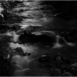 dark water