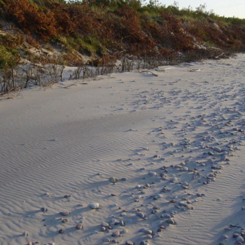 Ruhe am Strand