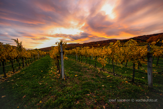 Abendrot