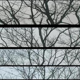 baum