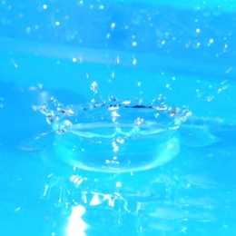 Wasserkrone