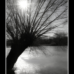 Schönauer Teich 6